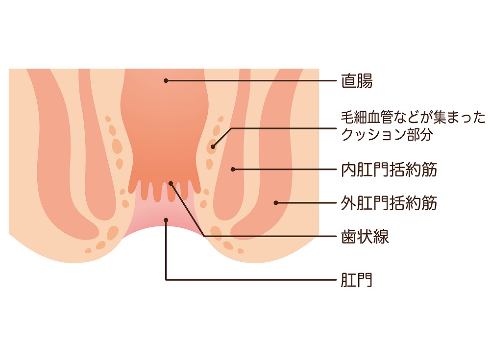 当院の肛門科診療